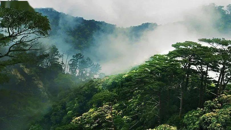细胞分裂5